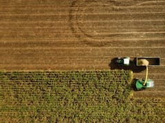 Cresud HOY: así abre la cotización este lunes 14 de julio