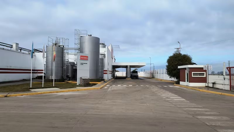 Qué está pasando con la láctea Verónica: planta paralizada, deudas millonarias y rumores de venta