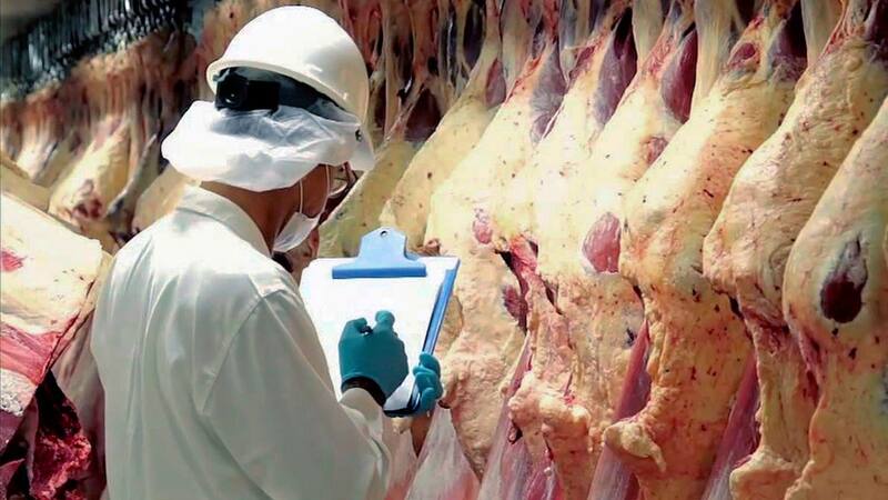 En enero-julio de 2022 se exportaron 357.400 toneladas de carne vacuna, 6,6% más que en los primeros siete meses de 2021.