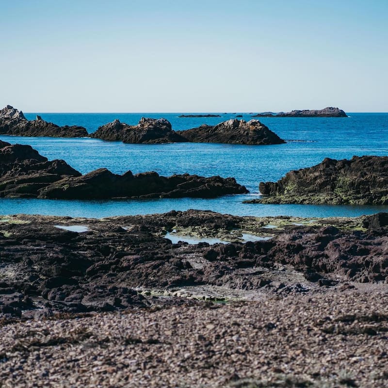 El destino ideal para quienes quieran aprender más sobre el mar Argentino. (Foto: Instagram @parquepatagoniaazul)
