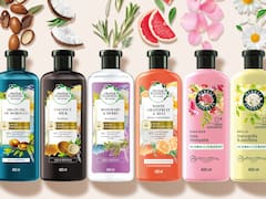 Newsan entra en nuevas categorías y quiere crecer un 40% con nuevas marcas