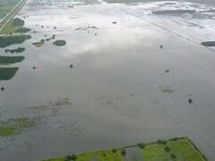 Inundaciones: Banco Nación tendrá operatoria especial para damnificados