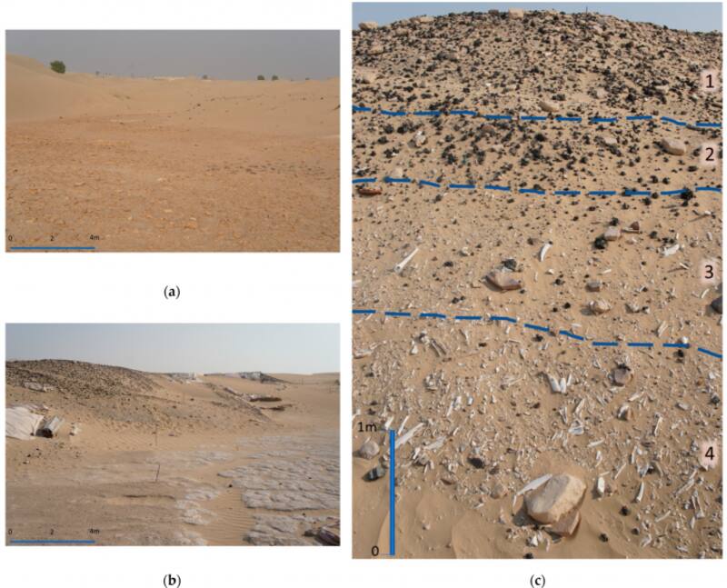 Una inteligencia artificial descubre una civilización oculta por 5,000 años en el desierto que es la más grande del mundo. Fuente: Archivo.