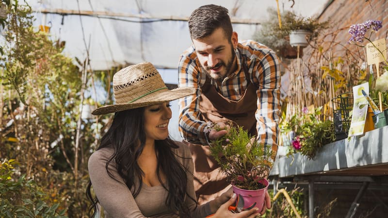 Hay al menos 7 plantas que son ideales para decorar tu jardín madrileño.