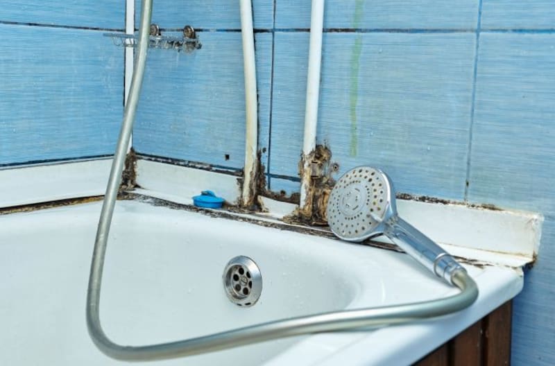 El efectivo método casero de un solo ingrediente para quitar el sarro de la ducha.