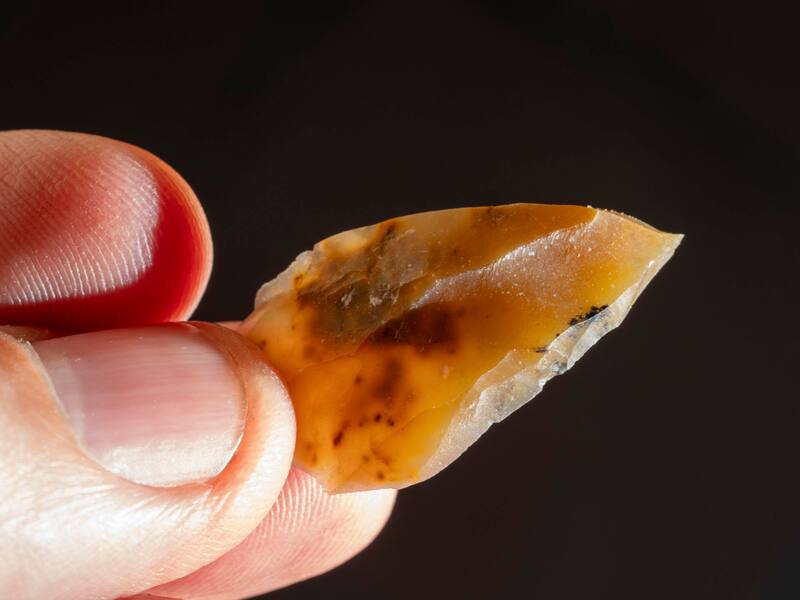 El descubrimiento rompe el paradigma previo sobre las capacidades de los primeros Homo sapiens de colonizar determinadas regiones que hasta ahora se consideraban inhóspitas. Foto: EFE