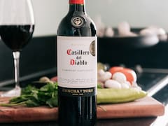 Bodegueros de la Patagonia llevan a Concha y Toro a juicio a Estados Unidos