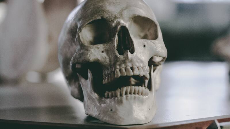 <div class="migrated-promo-image__description"><div class="migrated-promo-image__source">Fuente: Pexels</div></div>