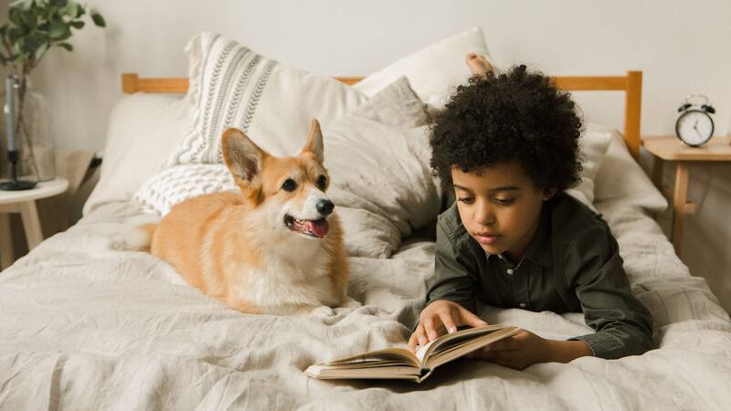 Los hogares españoles suman 15 millones de mascotas frente a 6,6 millones de niños menores de 15 años.