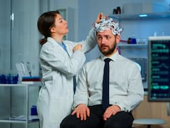 El funcionamiento del cerebro: una neurocientífica explica cómo impactan los sentidos en cómo actuamos y entendemos las cosas