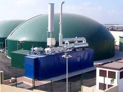 Lanzan una alianza para proyectos de bioenergía