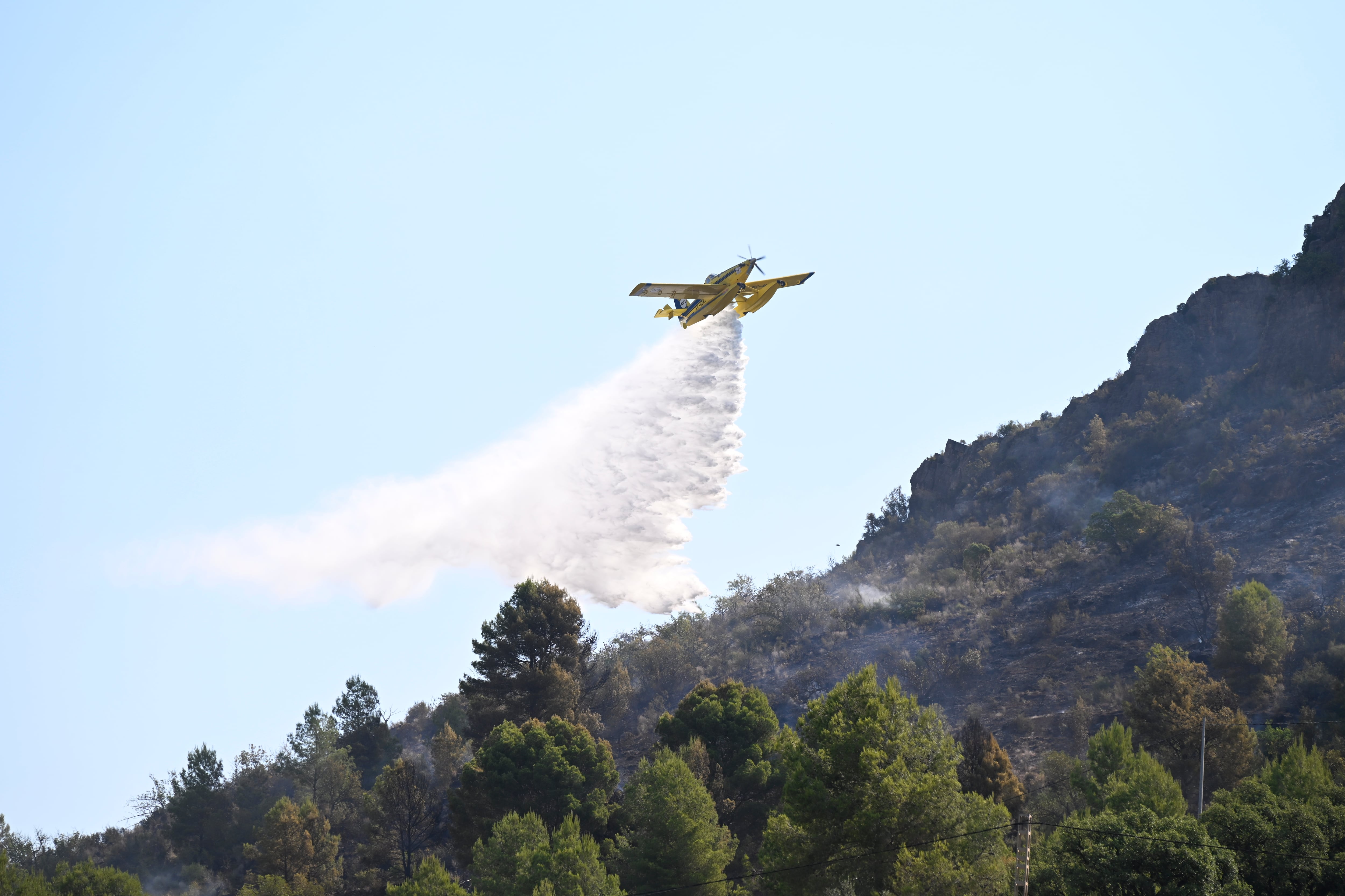 Los terrenos incendiados podrán ser comercializados