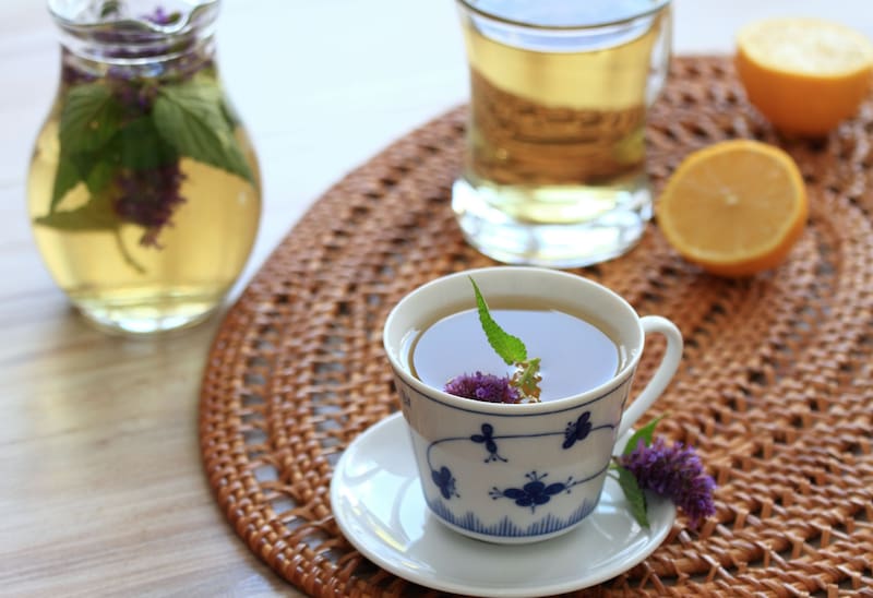 Consumir hisopo en té puede brindar muchos beneficios al organismo (Fuente: Shutterstock)
