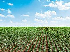 Empoderamiento femenino sí, pero en el campo