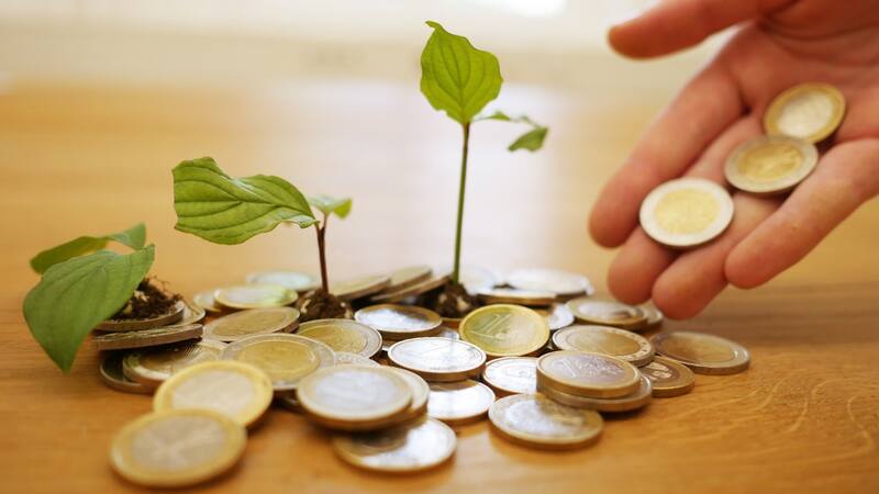 <div class="migrated-promo-image__description"><div class="migrated-promo-image__source">Fuente: Pixabay</div></div>