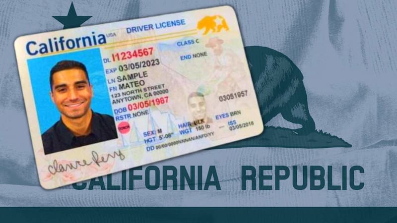 Las autoridades de California endurecen las sanciones a quienes conduzcan sin licencia. (Foto: Archivo El Cronista)