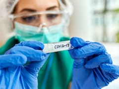 Alarma en China: científicos hallaron un nuevo virus similar al Covid-19