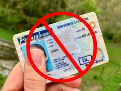 Se confirmó la peor noticia: suspenden las licencias de conducir y multan por 100 dólares a quienes infrinjan esta ley