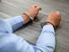 Cae el "rey de las criptomonedas" y será extraditado a EEUU | Estafó por más de 40 millones dólares