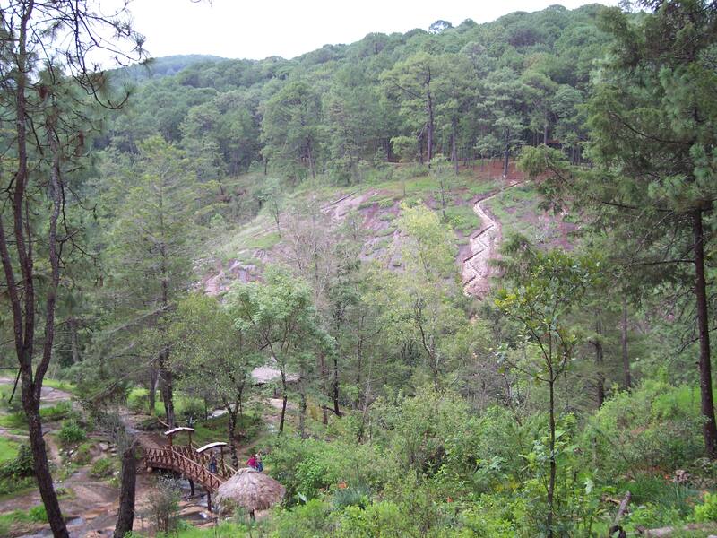 El pueblo de Mazamitla está rodeado de mucha naturaleza, generando un entorno que obnubila a propios y extraños. Foto: Wikimedia.