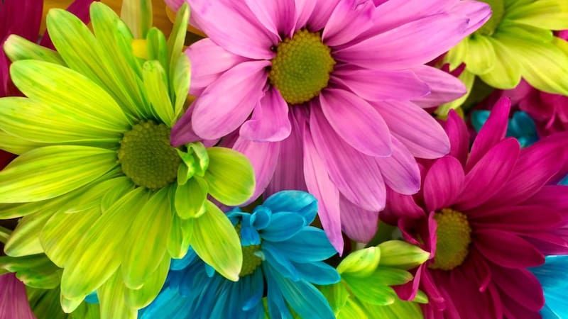 <div class="migrated-promo-image__description"><div class="migrated-promo-image__source">Fuente: Pixabay</div></div>