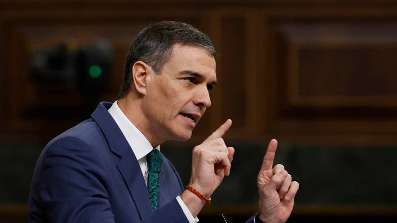 El Gobierno de España ha lanzado un importante aviso para los propietarios de gatos.