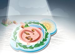 "Milei débil", el nuevo fantasma que frena inversiones