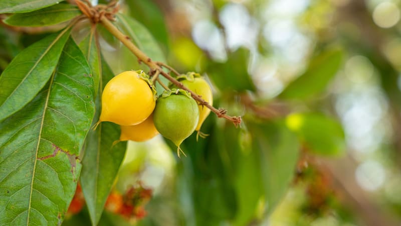 <div class="migrated-promo-image__description"><div class="migrated-promo-image__source">Fuente: Shutterstock</div></div>