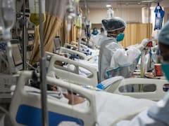 Alerta Super Hongo en la Argentina: detectan los primeros dos casos del Candida auris en el país