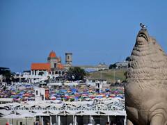 Verano 2024 en la Argentina: hay menos turistas pero más gasto real que el año pasado