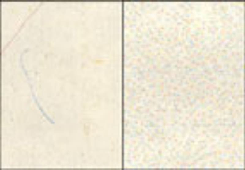 Dólar original // Dólar falso