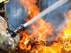 Piden declarar la emergencia mientras el gobierno de Javier Milei subejecutó el Fondo de Manejo del Fuego