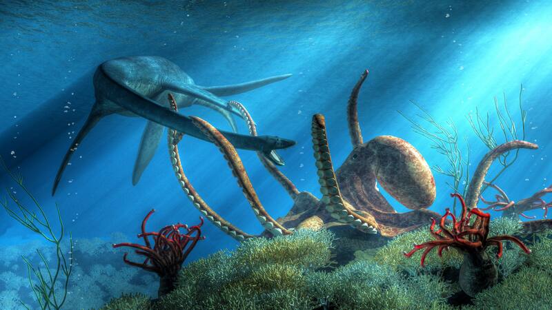 La evolución ha transformado a ciertas especies marinas en habitantes exclusivos del medio acuático.