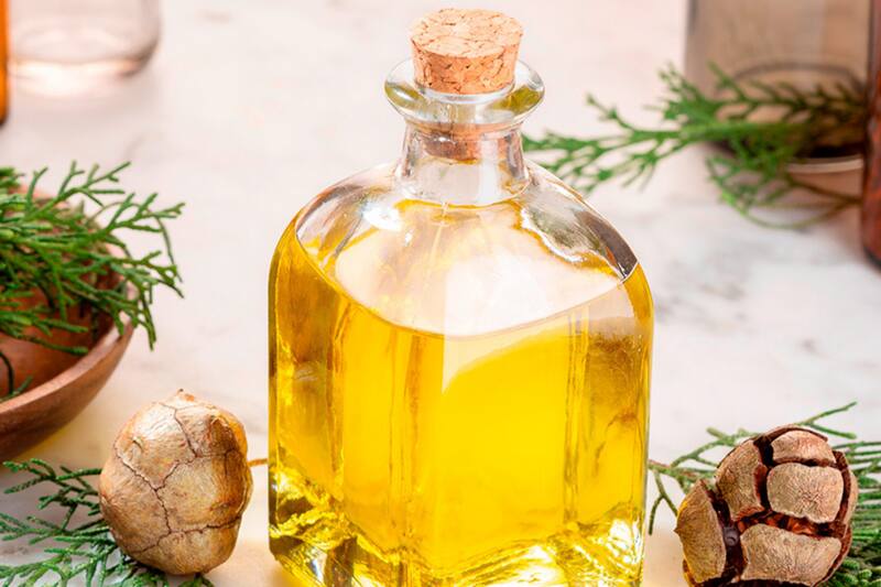 El aceite esencial de ciprés es una opción natural y eficaz para aliviar estas molestias y mejorar la circulación. Imagen: archivo.