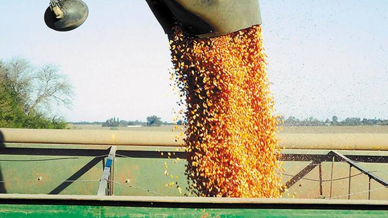 A partir de enero rige la quita del 0,5% mensual de retenciones a la soja