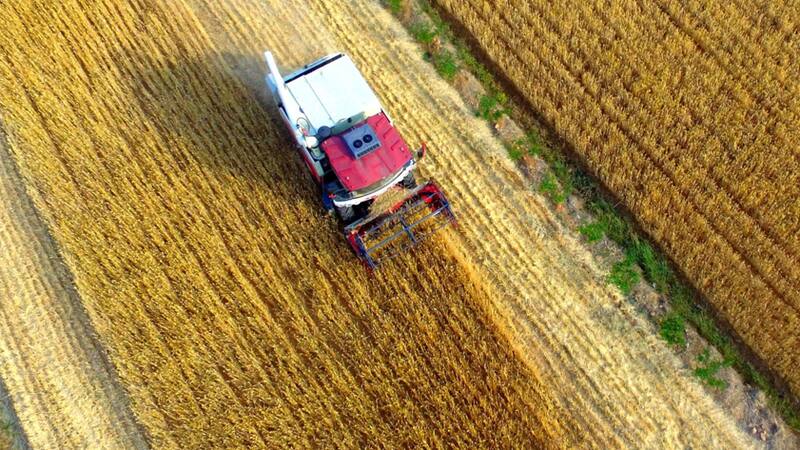 Este año el desafío es garantizar un mayor acceso a los alimentos y en 2023, será producir suficientes alimentos.