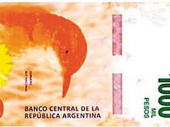 Mañana el BCRA presentará el billete de $ 1000 con la figura del hornero