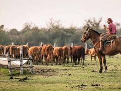Atención trabajadores rurales: se confirmó el aumento de una prestación social en diciembre, ¿de cuánto será?