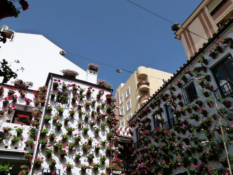 El Día de Andalucía se celebra cada 28 de febrero para conmemorar el referéndum de 1980, que consolidó la autonomía de la comunidad. (Imagen de Córdoba, Andalucía, de archivo)