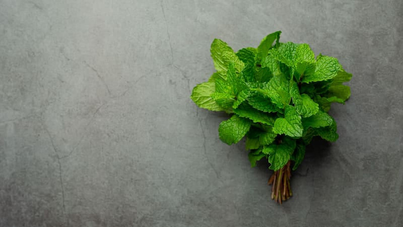 <div class="migrated-promo-image__description"><div class="migrated-promo-image__source">Fuente: Freepik</div></div>