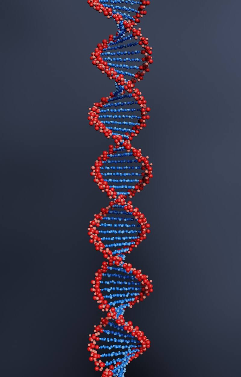 Hay moléculas responsables del mal olorFoto: Pixabay