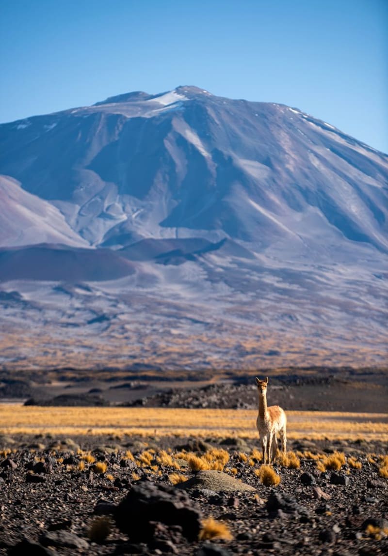 Fuente: Turismo Catamarca