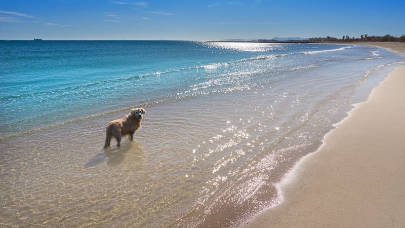 Esta playa a menos de dos horas de Madrid en tren es una de las más hermosas y menos conocidas del país.