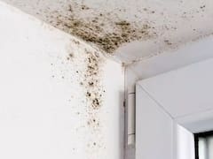 No es lavandina: el truco fácil y económico para quitar las manchas de humedad en la pared