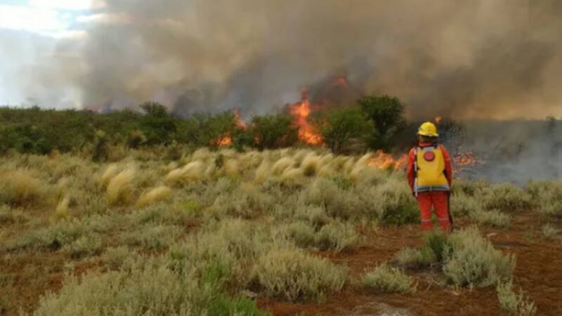 <div class="migrated-promo-image__description"><div class="migrated-promo-image__source">Fuente: agrofy web</div></div>