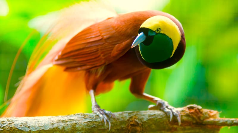 <div class="migrated-promo-image__description"><div class="migrated-promo-image__source">Fuente: Shutterstock</div></div>