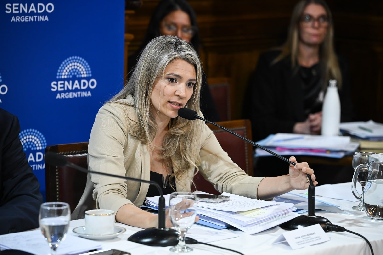 La mano derecha de Karina en Senado describe los cambios en Sociedades y Súper RIGI: “No cometamos el error...”