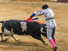 ¿Quieres asistir a la corrida de toros? Estas son todas las fechas, carteles y costos de los boletos