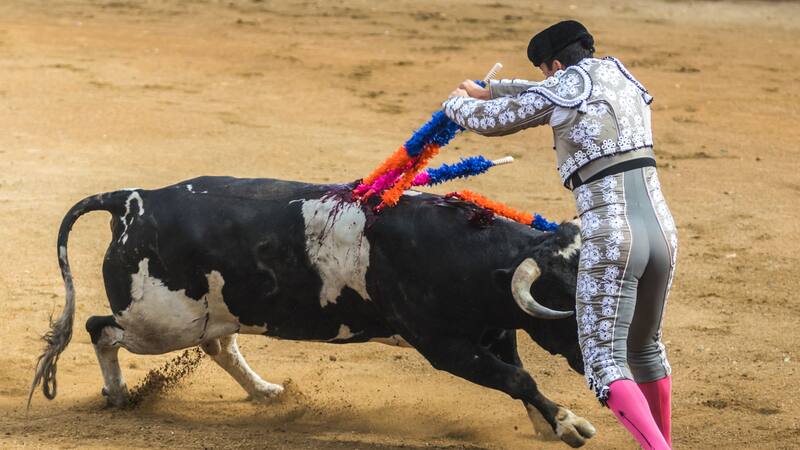 <div class="migrated-promo-image__description"><div class="migrated-promo-image__source">Fuente: Shutterstock</div></div>