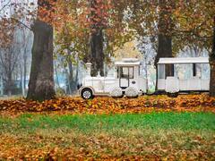 Escapadas: es uno de los mejores trenes de España, atraviesa un valle encantado y cuesta menos de 15 euros